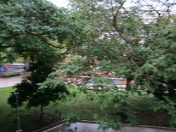 Blk 339 Tampines Street 33 (Tampines), HDB 5 Rooms #442342771